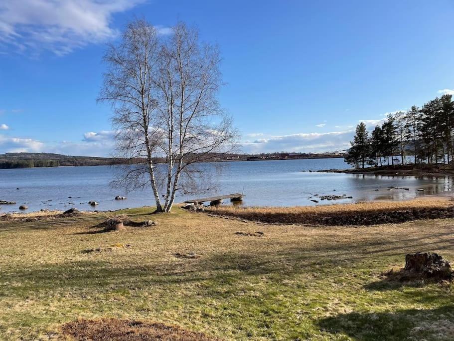 Lake Lodge Roennaes ليكساند المظهر الخارجي الصورة