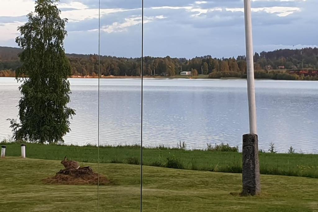 Lake Lodge Roennaes ليكساند المظهر الخارجي الصورة